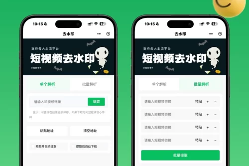 去水印小程序视频提取小程序源码支持二次开发流量主源码小程序